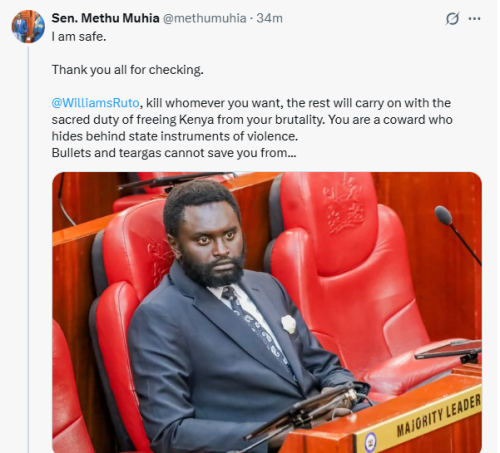X post by Senator John Methu. PHOTO/Screengrab by People Daily Digital