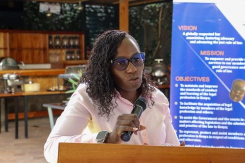 Photo of former LSK President Faith Odhiambo. PHOTO/@FaithOdhiambo8/X