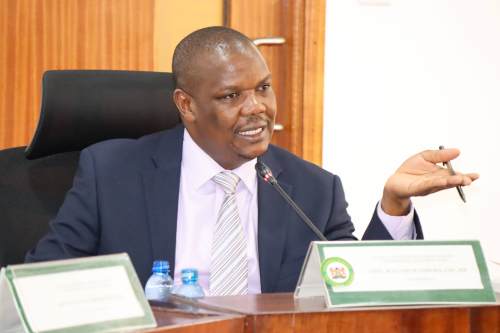 Public Investments Committee on Governance Chairperson Wanami Wamboka on Friday, January 30, 2026. PHOTO/https://www.facebook.com/ParliamentKE