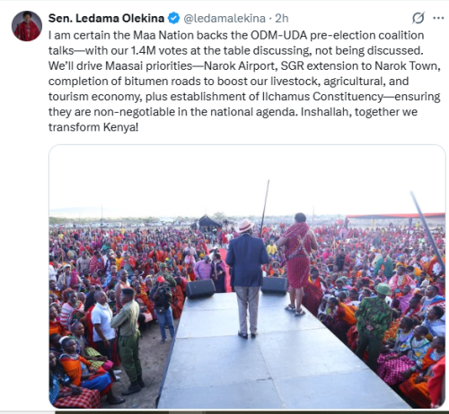 Ledama Olekina's statement on the ODM-UDA pre-election talks and the involvement of the Maa community. PHOTO/Screengrab by People Daily Digital/@ledamalekina/X