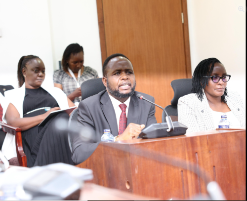 Trans-Nzoia Governor George Natembeya appearing before the Senate Committee on County Public Investments and Special Funds Sub-Committee at Bunge Tower on Tuesday, January 20, 2026. PHOTO/The Parliament of Kenya