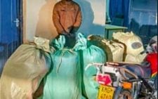 Police in Busia arrest 2 persons of interest with over 163kgs of bhang