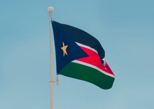 South Sudan national flag. Image used for representational purposes only. PHOTO/Pexels