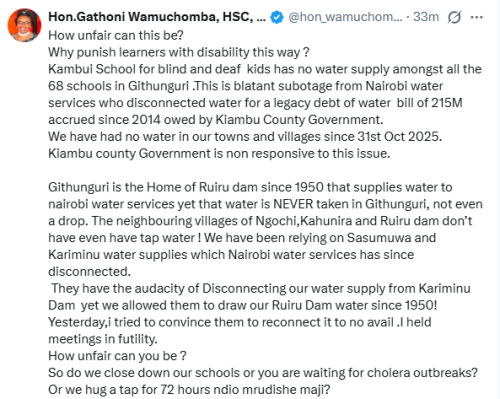 Gathoni Wamuchomba's statement on prolonged water shortage in Githunguri Constituency on Saturday, January 10, 2026. PHOTO/Screengrab by People Daily Digital/@hon_wamuchomba/X