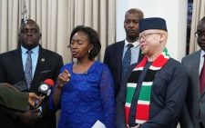 Agnes Zani: 10-point agenda committee currently funded by ODM and UDA, not govt