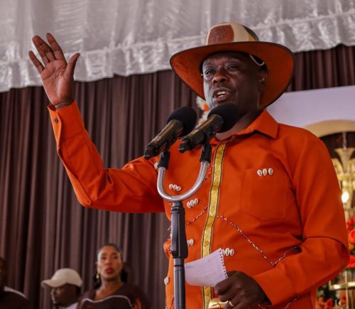 Rigathi Gachagua addresses guests during a ruracio ceremony in Gatundu South, Kiambu County. PHOTO/https://www.facebook.com/H.E. Rigathi Gachagua, EGH