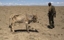 MPs question National Drought Emergency Fund over preparedness, accountability