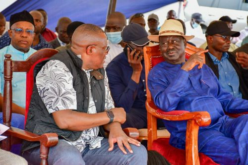 Former Deputy Chief of Staff for Delivery and Government Efficiency Eliud Owalo with the late former Prime Minister Raila Odinga at a past function. PHOTO/EliudOwalo/X