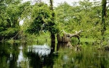 Congo lakes are releasing ancient carbon, raising climate concerns, study says