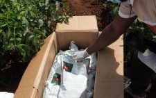 PCPB: 25 arrested for using unregistered pest control products