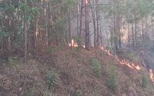 Kenya Red Cross confirms fire incident in Irizi Forest, Taita