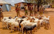 Police in Samburu stop attempted cattle raid