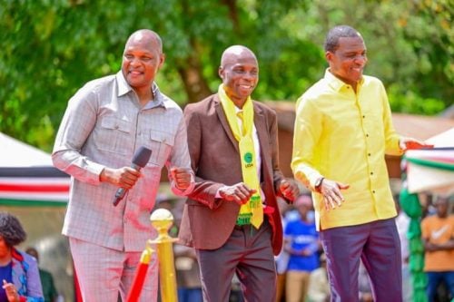 The United Democratic Alliance (UDA) party is unveiling its candidate, Elphanas Shalakha, for the Kabras West by-election seat. PHOTO//https://www.facebook.com/david.ndakwa.1