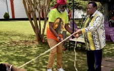 Wajackoyah pledges allegiance to Atwoli, gifts him a sheep