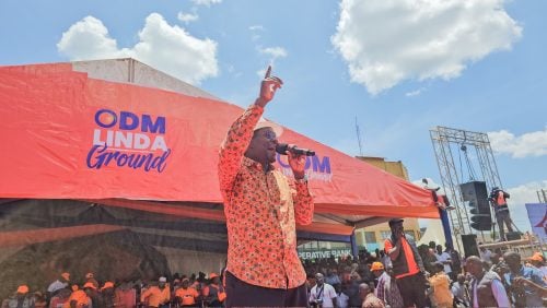 Energy Cabinet Secretary Opiyo Wandayi addresing Linda Ground rally in Siaya. PHOTO/@OpiyoWandayi/X