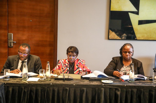 Auditor-General Nancy Gathungu appearing before a joint sitting of the National Assembly Departmental Committee on Energy and the Senate Standing Committee on Energy on Wednesday, February 11, 2026. PHOTO/https://web.facebook.com/ParliamentKE