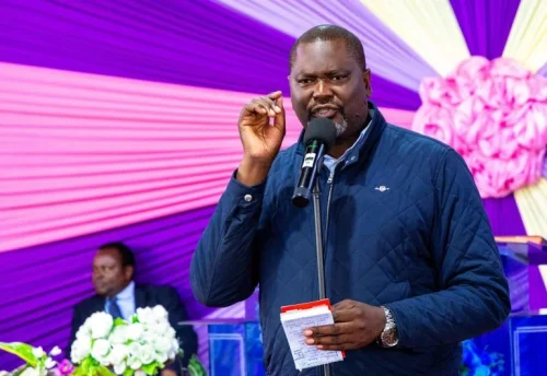 Public Service CS Geoffrey Ruku during a past event. PHOTO/@gk_ruku/X