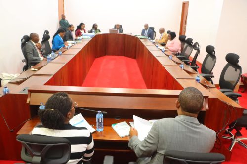 The National Assembly Committee on Cohesion and Equal Opportunities during a past event. PHOTO/https://www.facebook.com/Parliament of Kenya