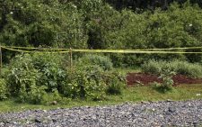 Kericho mass grave horror: Autopsies expose details of buried victims