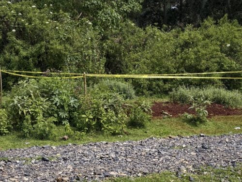 Kericho Mass Grave site. PHOTO/https://www.facebook.com/ronniechirchir/FB
