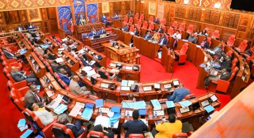 Senate during a past session. PHOTO/https://www.facebook.com/ParliamentKE/FB