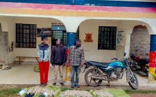 Police nab 3 men linked to over 200 large rolls of bhang in Oyugis