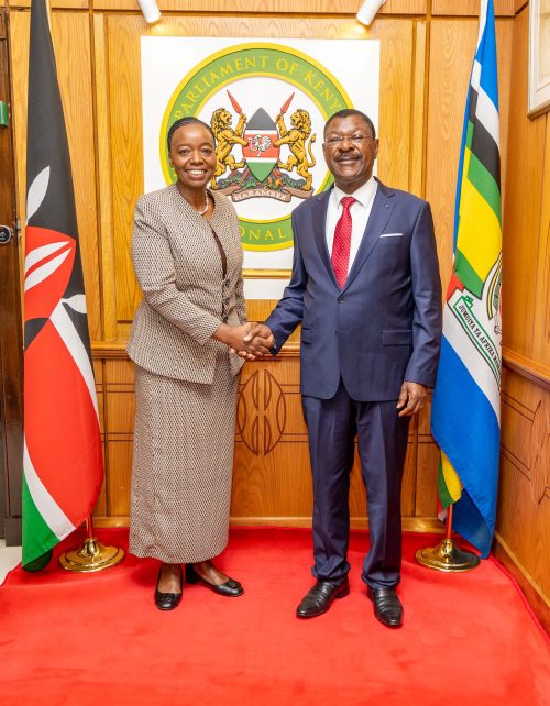 National Assembly Speaker Moses Wetang'ula meets with outgoing National Security Advisor Monica Juma. PHOTO/@HonWetangula/X