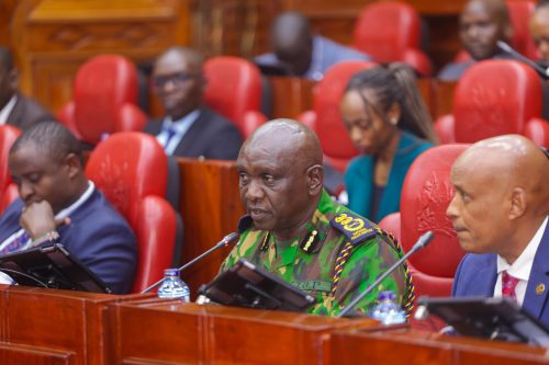 Inspector General of the National Police Service, Mr.Douglas Kanja appearing before the Departmental Committee on Administration and Internal Security at Bunge Towers on March 12, 2026. PHOTO/@NPSOfficial_KE/X