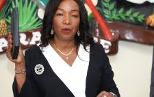 Land commission elects vice chairperson a day after 7 commissioners
