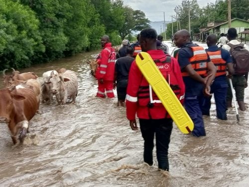 Kenya Red Cross, while responding to the escalating flooding crisis in West Kenya, where the River Nyando has burst its banks, submerging communities and critical infrastructure. PHOTO@KenyaRedCross/X