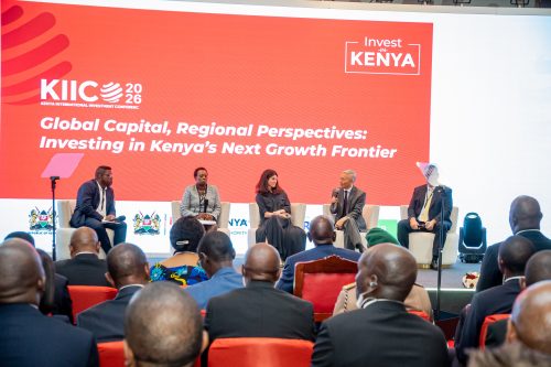 Qimiao Fan speaking during a past event. PHOTO/@WorldBankKenya/X
