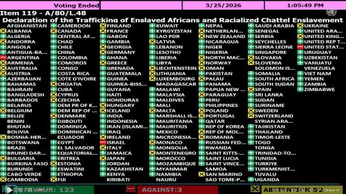 The proposal was adopted with 123 votes in favour and three against - the United States, Israel and Argentina. PHOTO/@sherwiebp/X
