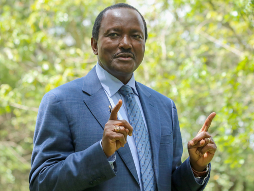 Wiper Patriotic Front leader Kalonzo Musyoka during a past event. PHOTO/@skmusyoka/X