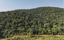 Govt rubbishes reports of forest land encroachment amid public concern