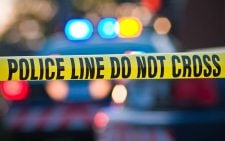 Two arrested as police find 20 slaughtered donkeys in Makindu