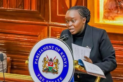 Cabinet Secretary for Environment, Climate Change and Forestry, Deborah M. Barasa.PHOTO/@Senate_KE/X