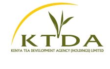 KTDA names Njeru chairman and Menjo vice chair in major leadership overhaul