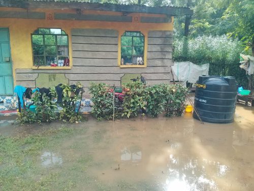 Homes in Mwea West surrounded by stagnant floodwaters after heavy downpour. PHOTO/Bancy Lole