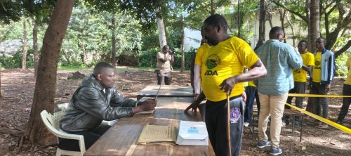 UDA supporters participate in the party’s grassroots elections. PHOTO/Viola Kosome