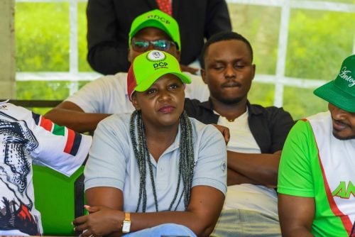 DCP's National Youth Leader, Serah Wanjiku Nthiga. PHOTO/https://www.facebook.com/wanjikuwathiga/photos