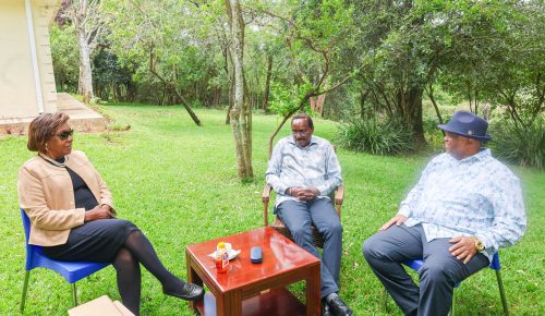 WIper leader Kalonzo Musyoka while having consultative talks with Former Kitui governor Charity Ngilu. PHOTO: Kalonzo holds talks with Charity Ngilu