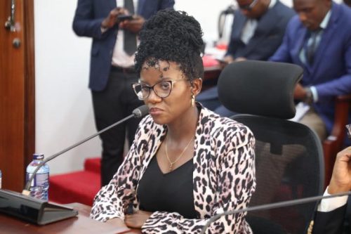 Oryx Managing Director Angeline Maangi during a Senate Standing Committee on Energy hearing. PHOTO/https://www.facebook.com/Parliament of Kenya