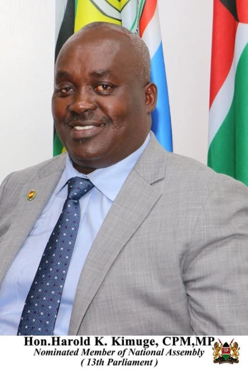 Nominated MP Harold Kipchumba: PHOTO//https://www.facebook.com/ParliamentKE/FB
