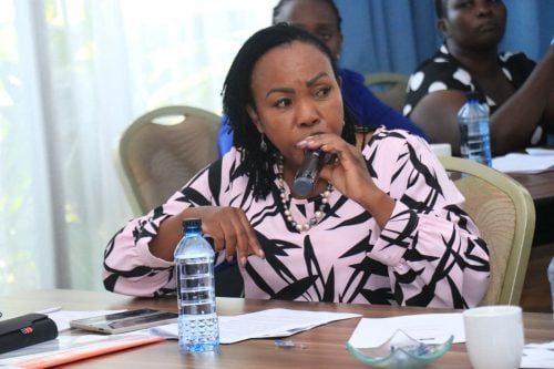Mary Maingi during a past event. PHOTO/https://www.facebook.com/Mary Maingi, MP
