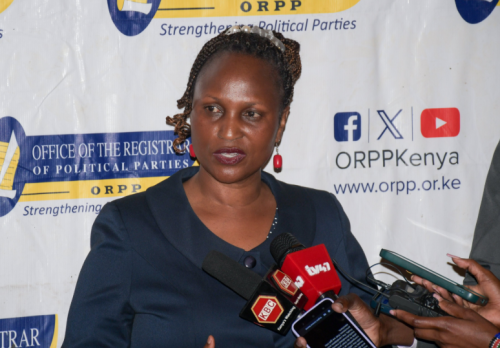 IEBC Commissioner Dr Ann Nderitu