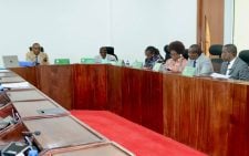 MPs flag increase in political appointments to diplomatic envoy roles
