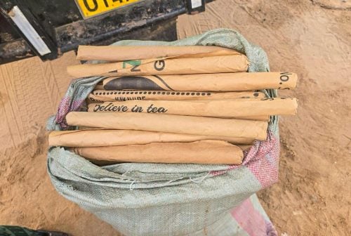 Bhang intercepted at the Sabaki Bridge checkpoint on Tuesday, April 7, 2026. PHOTO/@NPSOfficial_KE/X