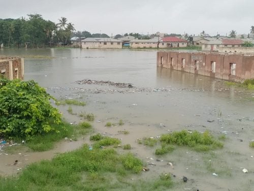Floods cover homes in parts of Mombasa County. PHOTO/@KenyaRedCross/X