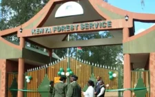 KFS condemns brutality by forest rangers