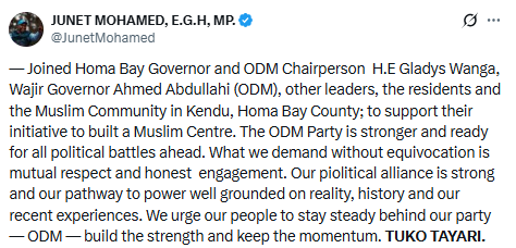 Statement by Junet Mohamed. PHOTO/Screengrab by People Daily Digital/@JunetMohamed/X